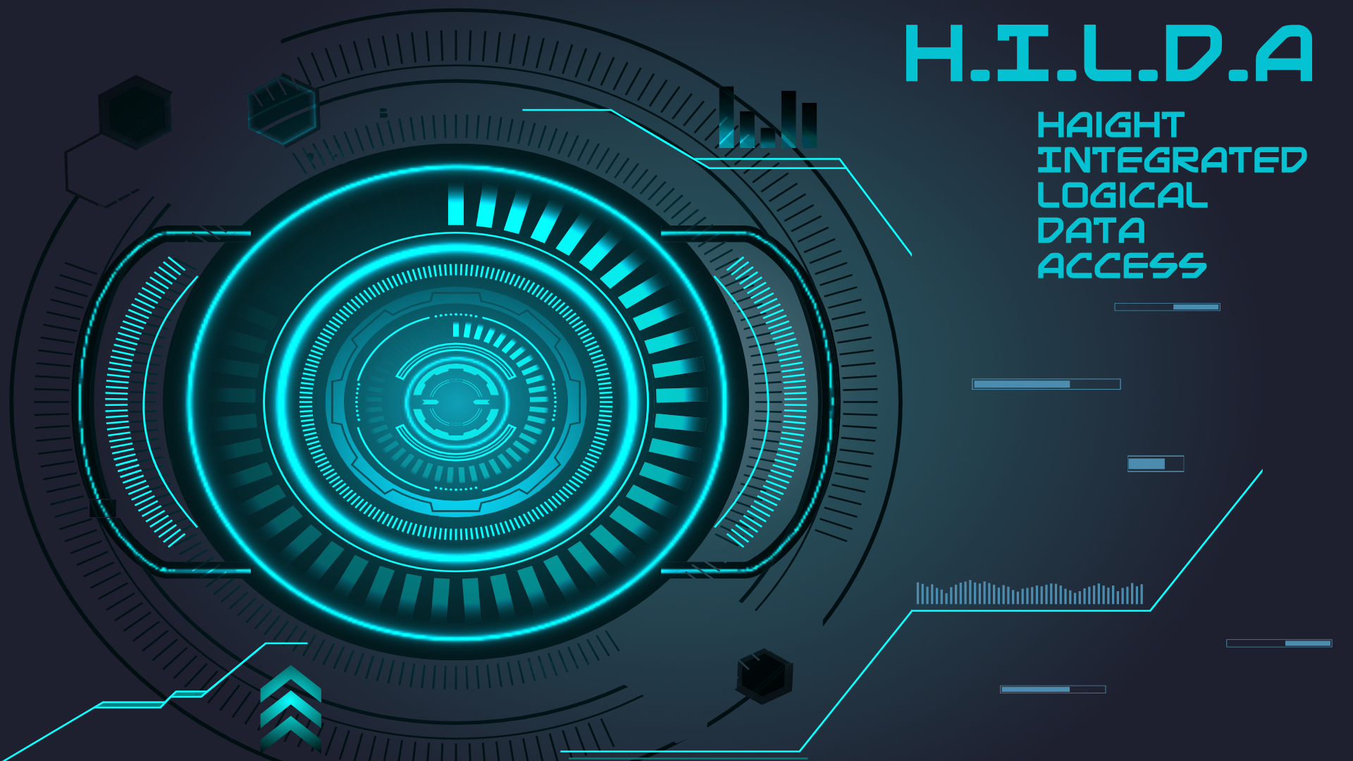 HILDA System